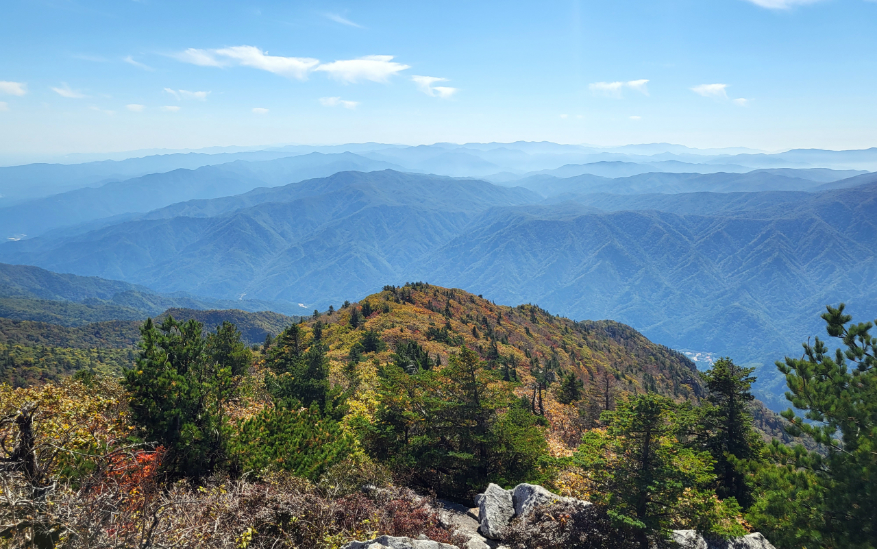 In this photo taken on Thursday, foliage on Mount Seorak in Gangwon Province change into fall colors. (Yonhap)