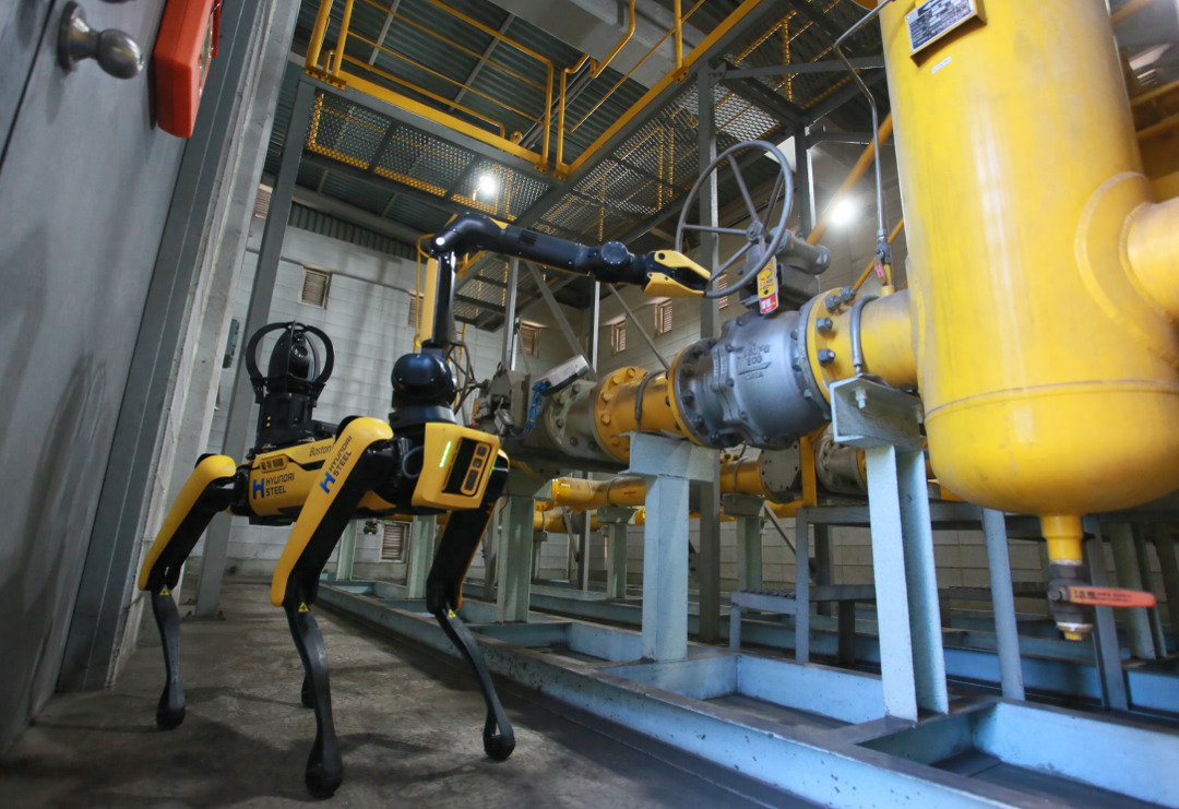 A four-legged walking robot, Spot, handles a gas valve at Hyundai Steel's plant in Dangjin, South Chungcheong Province. (Hyundai Steel)