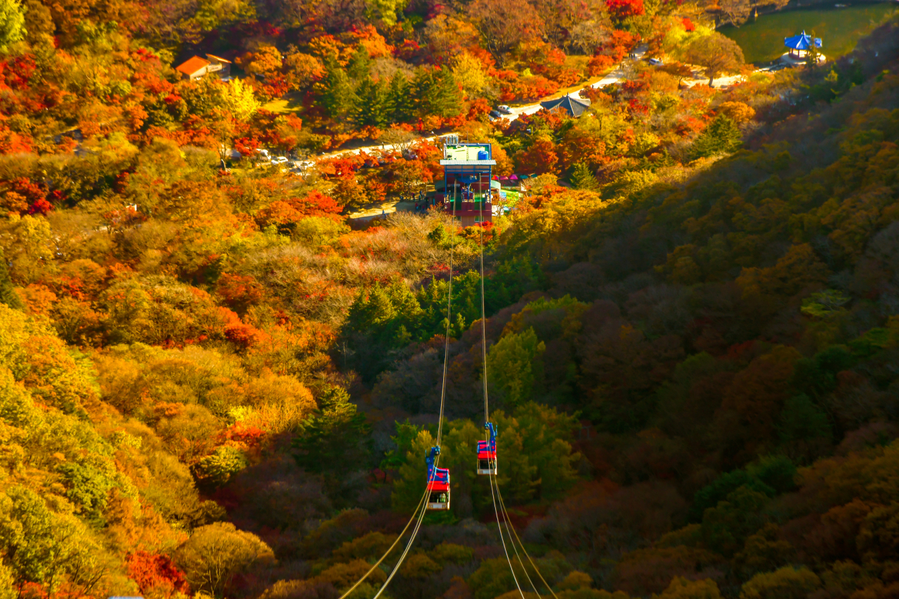 Fall foliage of Naejangsan in Jeongeup, North Jeolla Province (Doodream-Korea Tourism Organization)