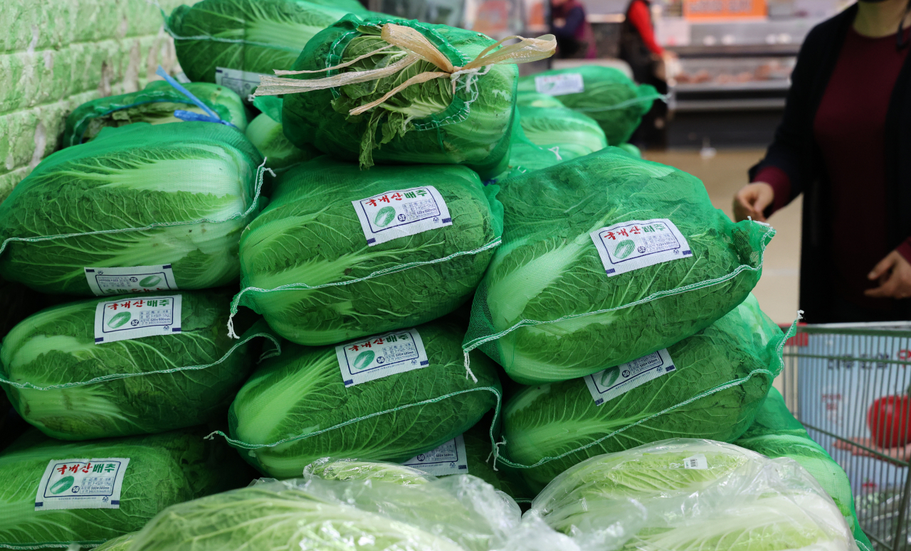 Napa cabbages, a key ingredient of kimchi, are displayed at a supermarket in Seoul on Thursday. (Yonhap)