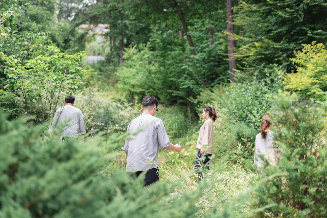 Participants in the forest therapy program take a walk in a trekking trail near Healience Seonmaeul, located in Hongcheon County, Gangwon Province. (Healience Seonmaeul)
