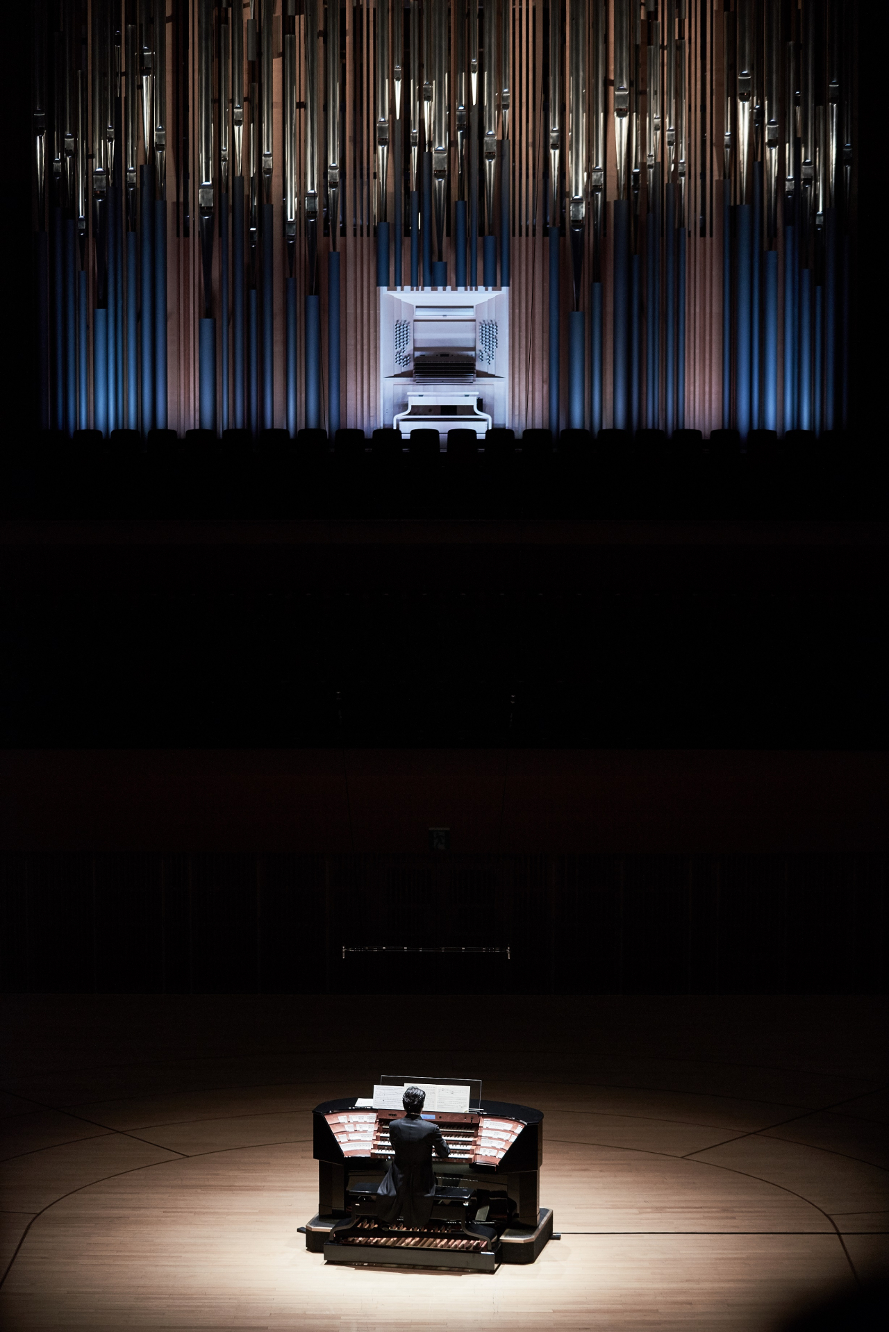 Organist Cho Jae-hyuck plays the pipe organ during an “Organ Odyssey” concert held earlier this year at Lotte Concert Hall in Seoul. (Lotte Foundation for Arts)