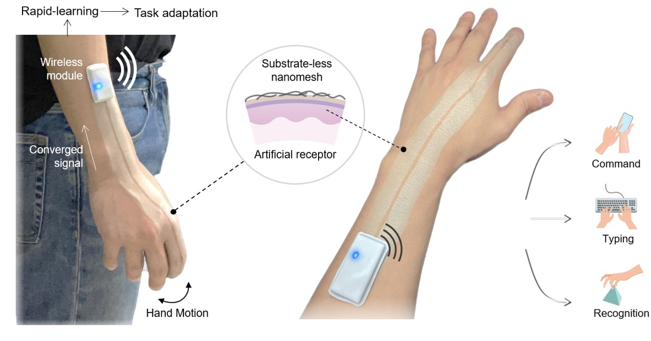 Illustration of spray-on smart skin (Professor Jo Sung-ho's research team at Korea Advanced Institute of Science and Technology)