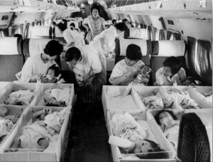 This undated photo shows the inside of a chartered plane en route for the US carrying babies to be adopted by families there. (Ministry of the Interior and Safety)