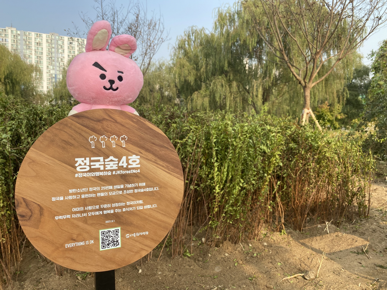 This image shows a forest named after boy band BTS’ Jungkook. (Seoul Metropolitan Government)