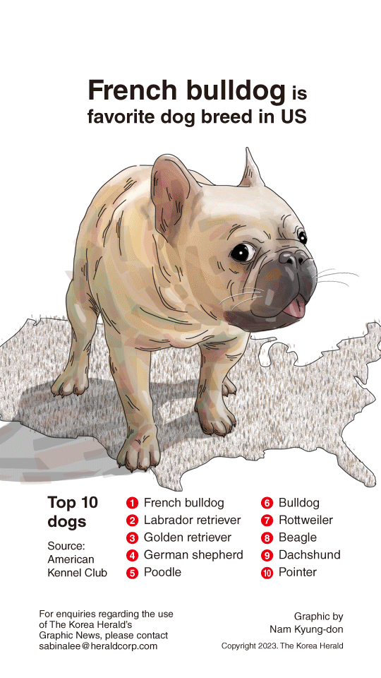 Graphic News] French bulldog is favorite dog breed in US