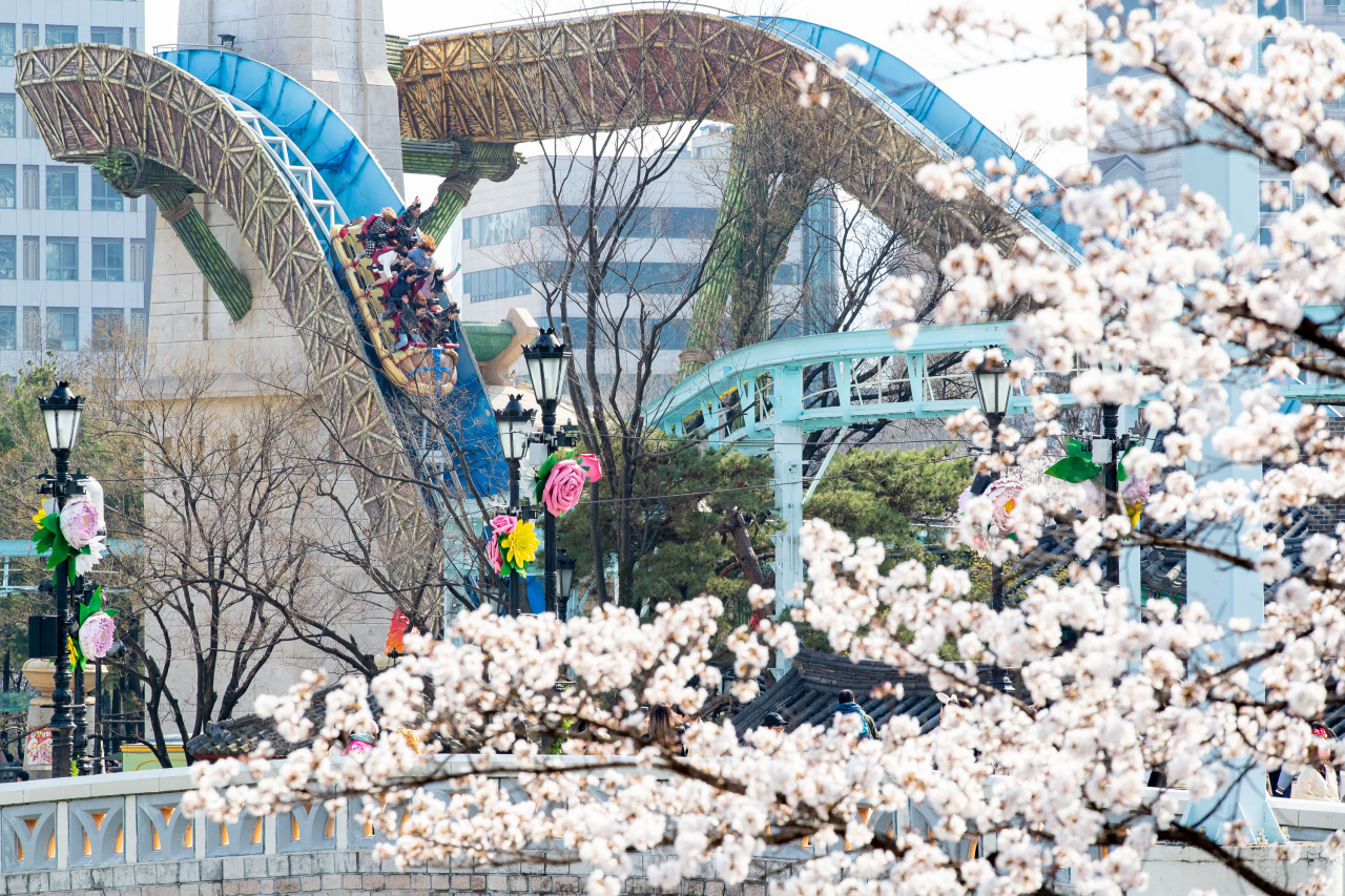 Cherry blossoms at Magic Island of Lotte World Adventure located at Seokchon Lake in Seoul (Lotte World Adventure)