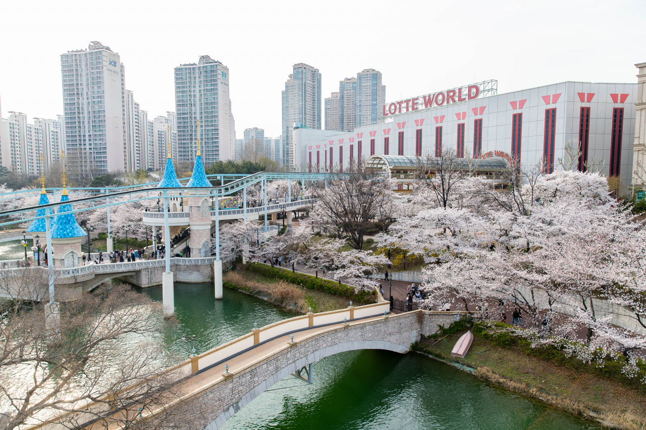 Cherry blossoms at Magic Island of Lotte World Adventure located at Seokchon Lake in Seoul (Lotte World Adventure)