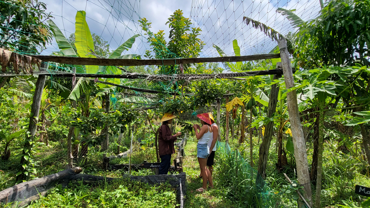 Visitors listen to a tour guide at Phu Quoc Countryside, a family-owned pepper farm on Phu Quoc Island (Kim Hae-yeon/ The Korea Herald)