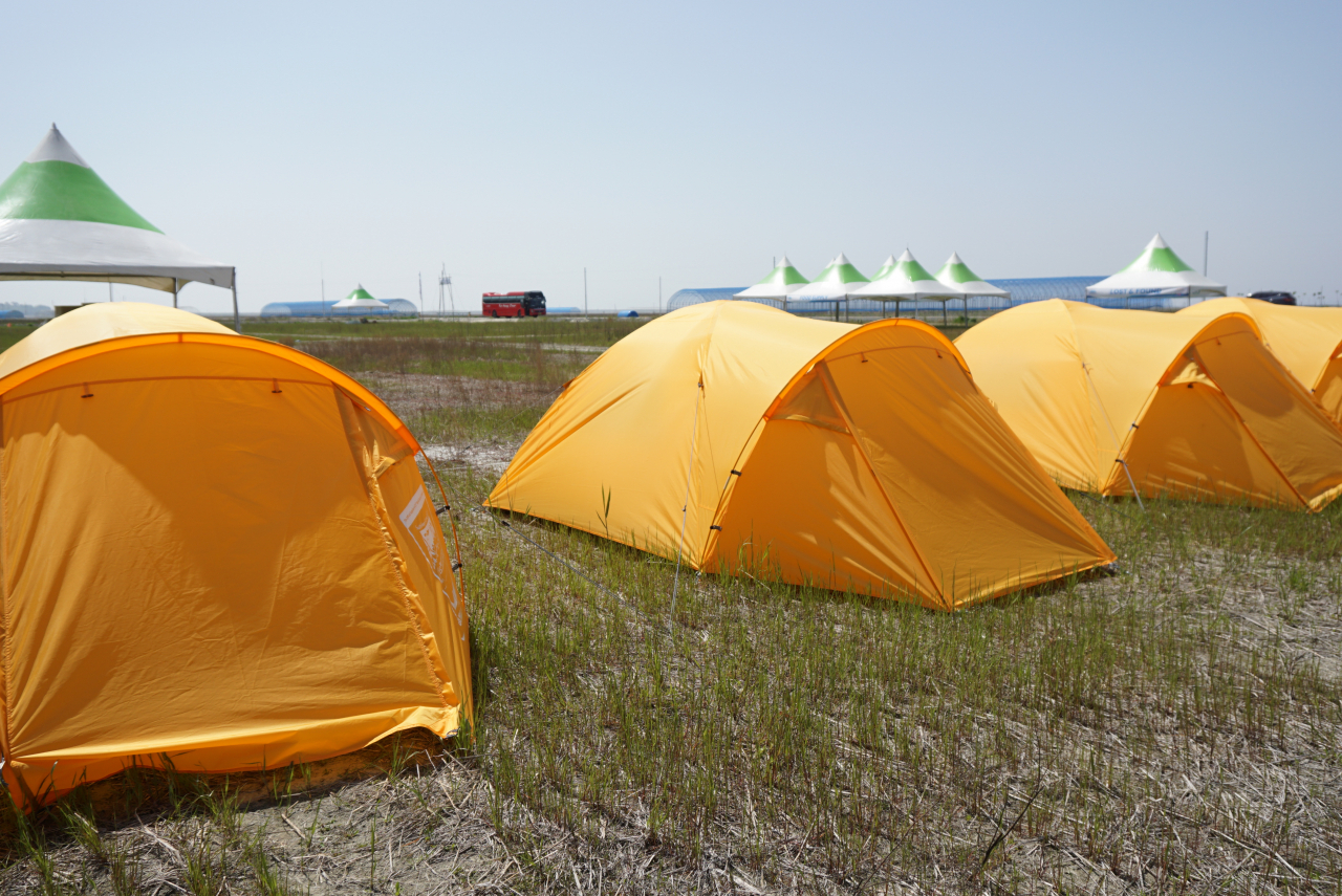 Yellow two-person tents are set up in a row in the Saemangeum area, North Jeolla Province, Thursday. (Ministry of Gender Equality and Family)