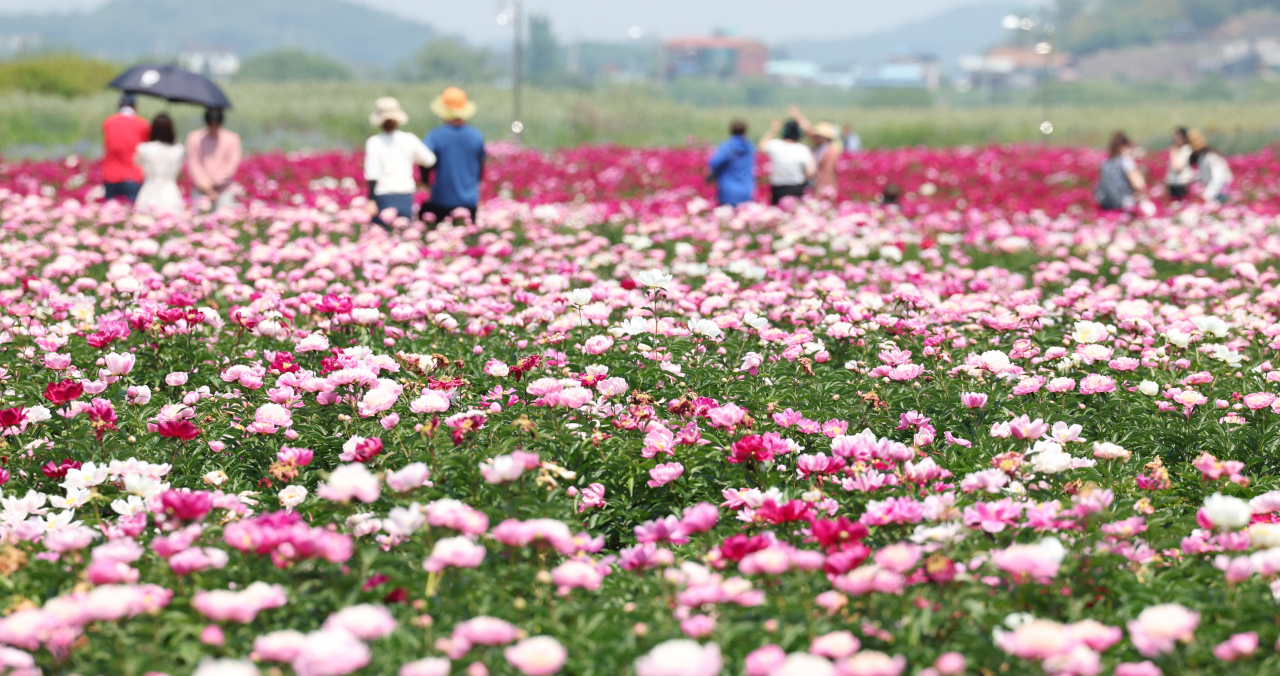 (Yonhap)