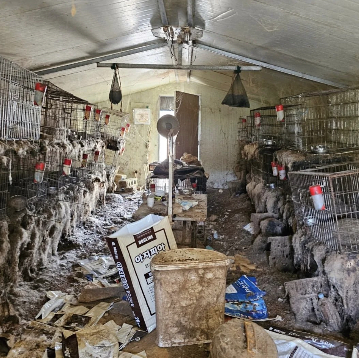 A picture shows the inside of an illegal breeding facility in Jinan-gun, North Jeolla Province, on May 2. (Courtesy of TBT Rescue’s Instagram)