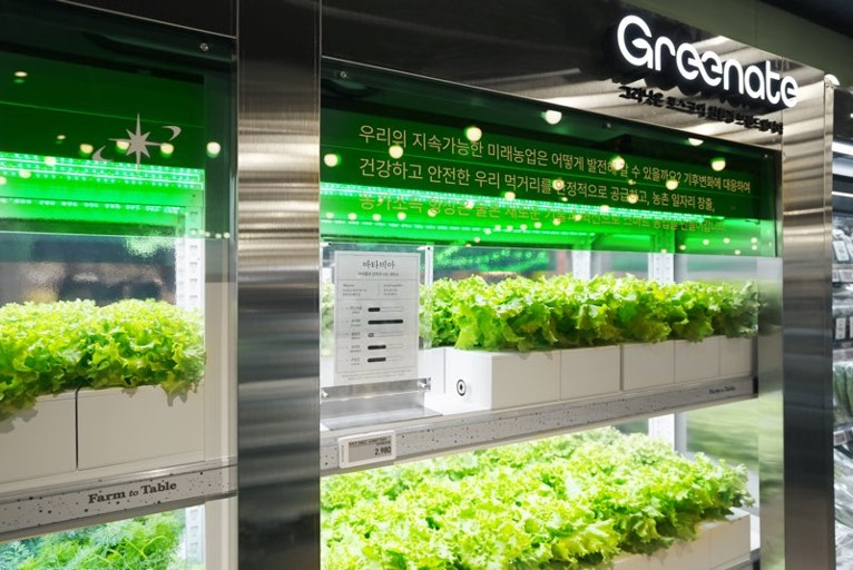 A photo shows an indoor smart farm built using Posco's new low-emission Greenate certified steel, installed at E-mart's Yeonsu branch in Incheon in March. (Posco)