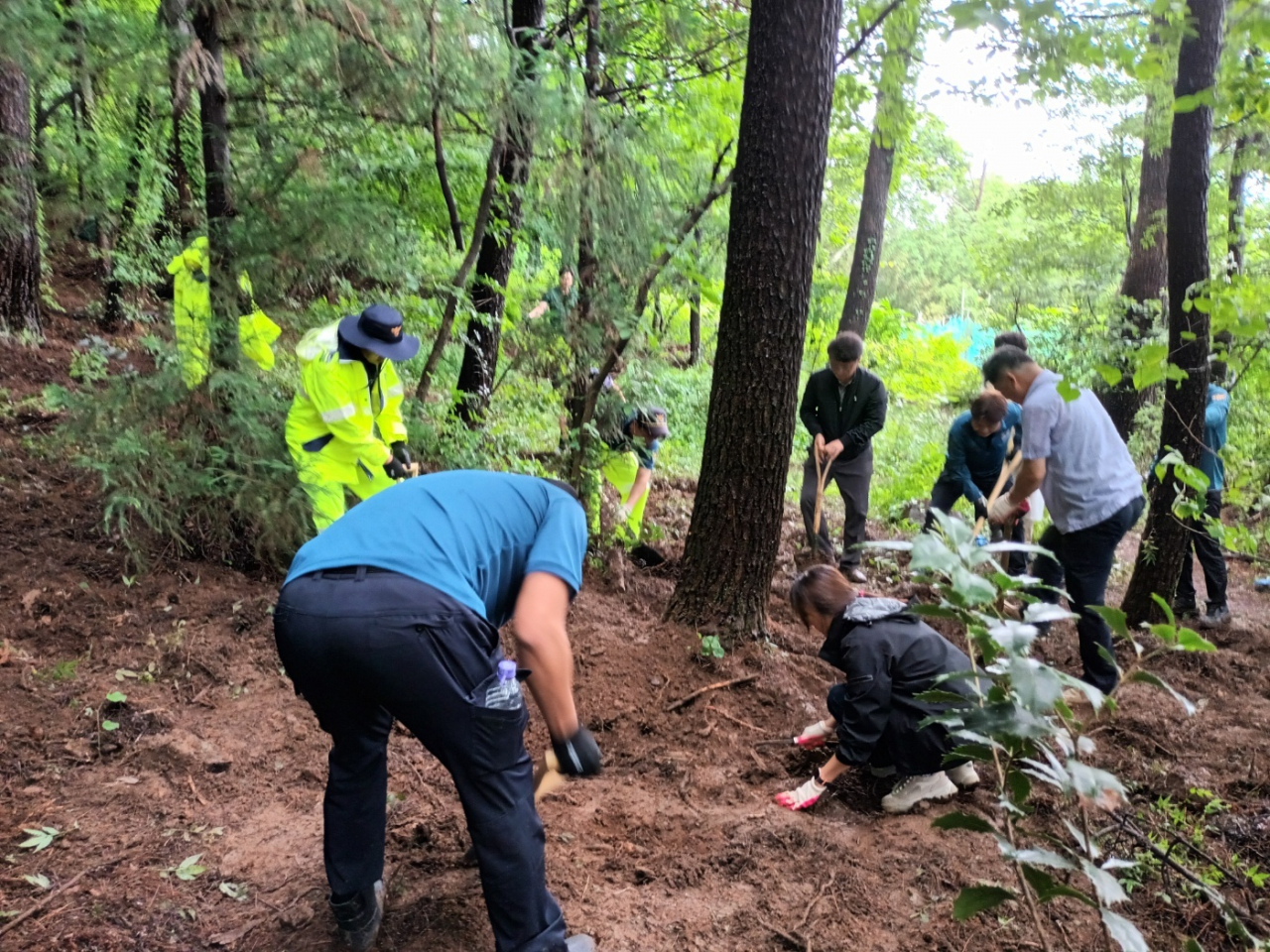 Police are seen searching a hillside in Geoje, South Gyeongsang Province, on June 5 to locate the body of a baby boy allegedly murdered and buried by his mother. (Gyeongnam Provincial Police)
