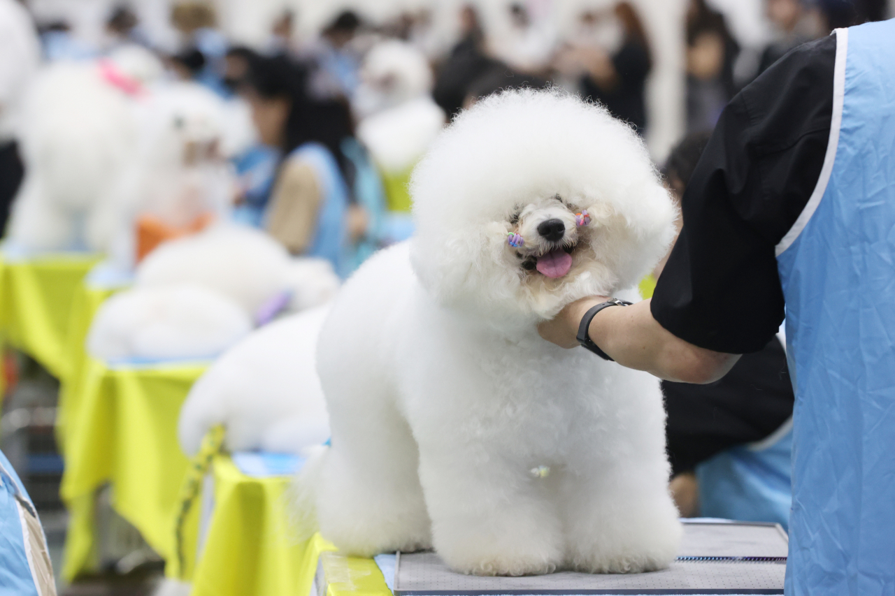 The 2023 FCI Seoul International Dog Show is being held at aT Center in Seocho-gu, Seoul. (Yonhap)