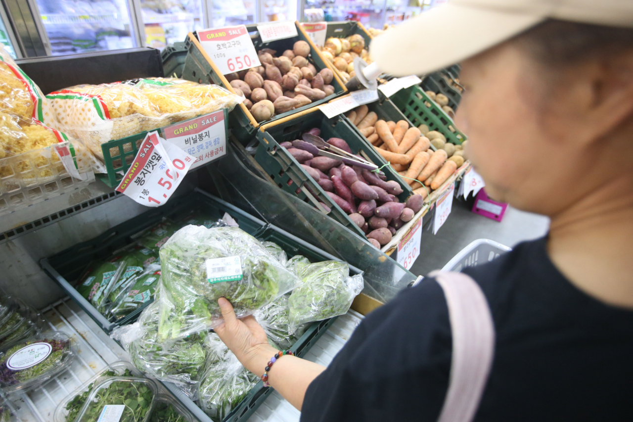 A shopper compares vegetables at a supermarket in Cheongju, North Chungcheong Province, Tuesday. Vegetable prices rose by 9.1 percent on-year in July due to the heavy rain. (Yonhap)