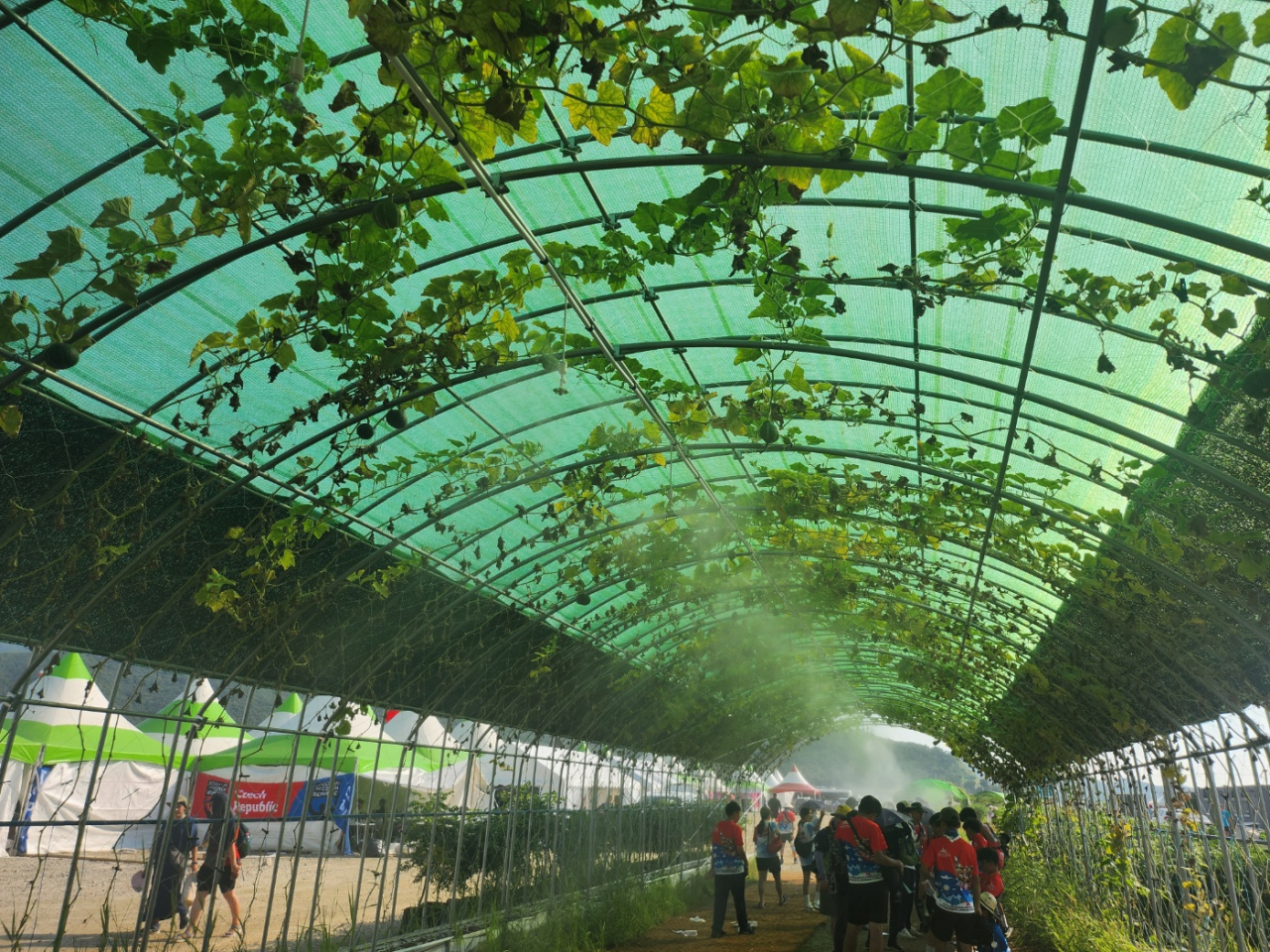 A fog-spraying facility cools down Scouts in a vine tunnel. (Lee Jung-youn/The Korea Herald)
