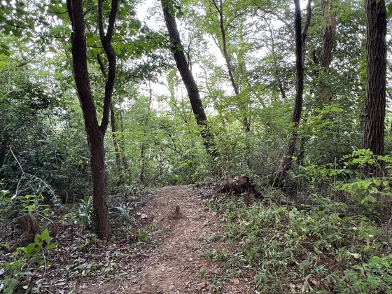 The hill in Sillim-dong, Gwanak-gu, Seoul, where the attack happened Thursday. (Yonhap)