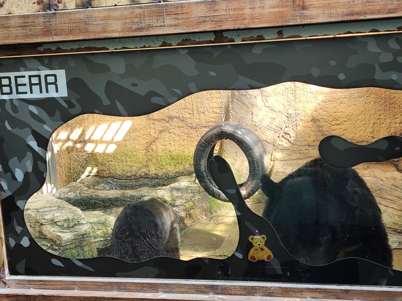 Asian black bears inside an enclosure at the zoo at the Daejeon Aquarium in Daejeon. (Yoon Min-sik/The Korea Herald)