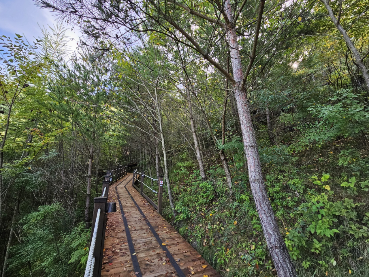 The Snail Forest Trail from Kangwon Land to the High1 Wellness Center (Kim Hae-yeon/ The Korea Herald)
