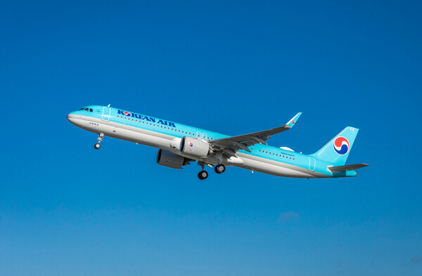 Korean Air's A321neo aircraft in operation (Korean Air)