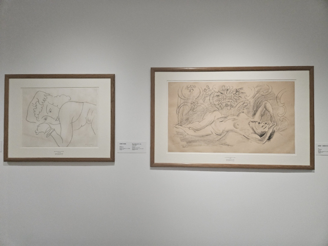 Henry Matisse's drawings are on display at 