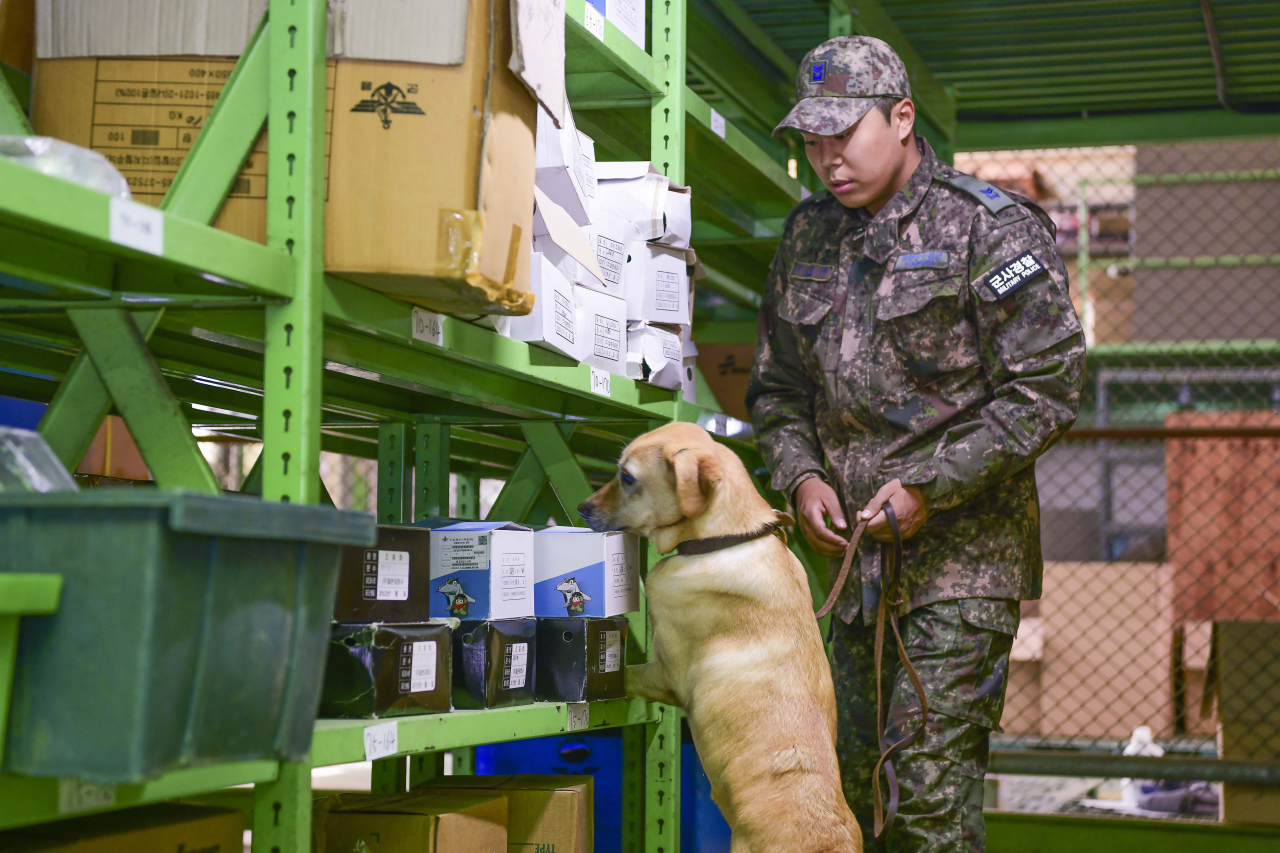 Dindin, a 4-year-old golden retriever and one of the two first military drug sniffer dogs, at work. (South Korean Air Force)