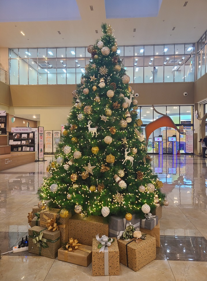 A giant Christmas tree is erected at Chuncheon City Public Library. (Chuncheon City Public Library)