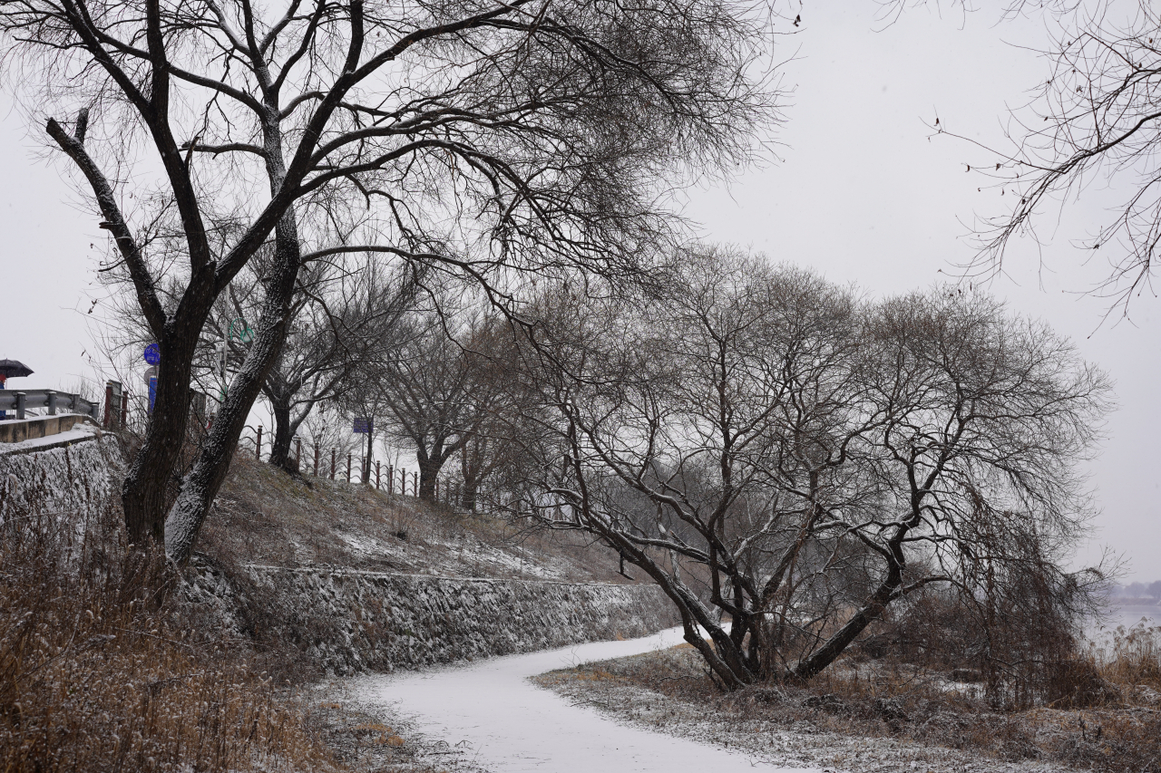 Trees and a walking trail near Soyang 3-gyo are covered in snow on Jan. 9. (Lee Si-jin/The Korea Herald)