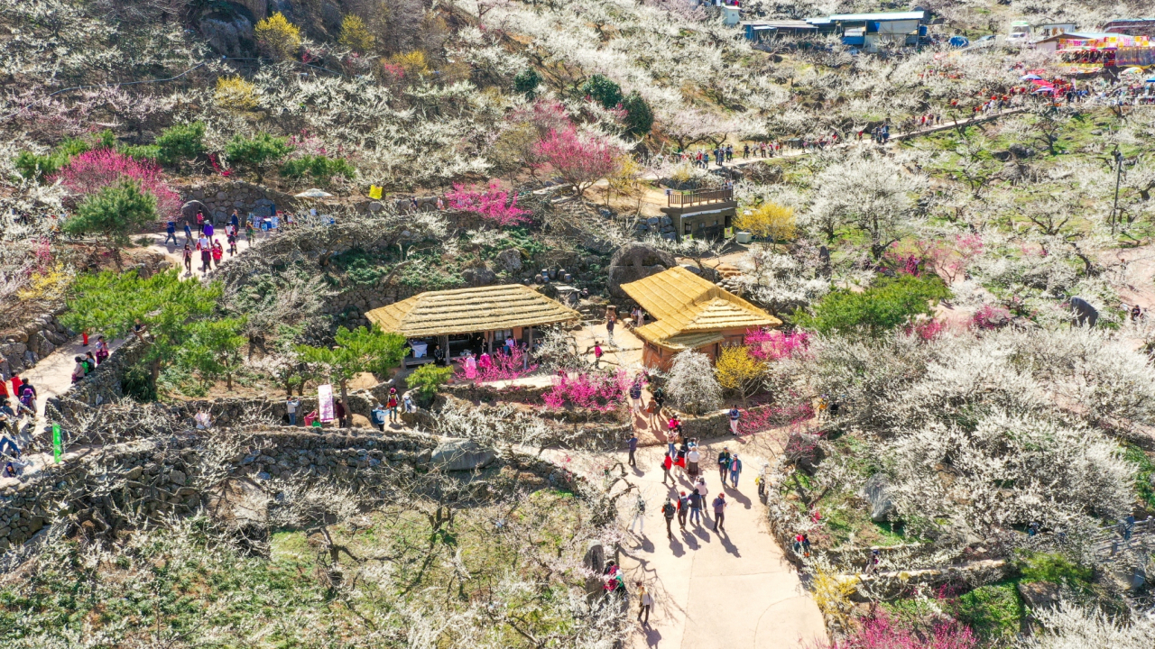 Panoramic view of Seomjingang Village in Gwangyang, South Jeolla Province (Gwangyang)