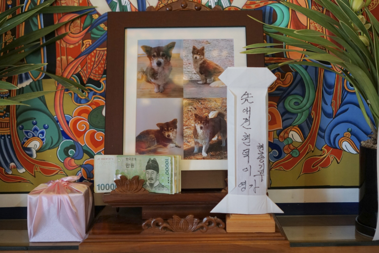 A memorial tablet for the deceased dog named Hyundeok, Feb. 1 (No Kyung-min/The Korea Herald)