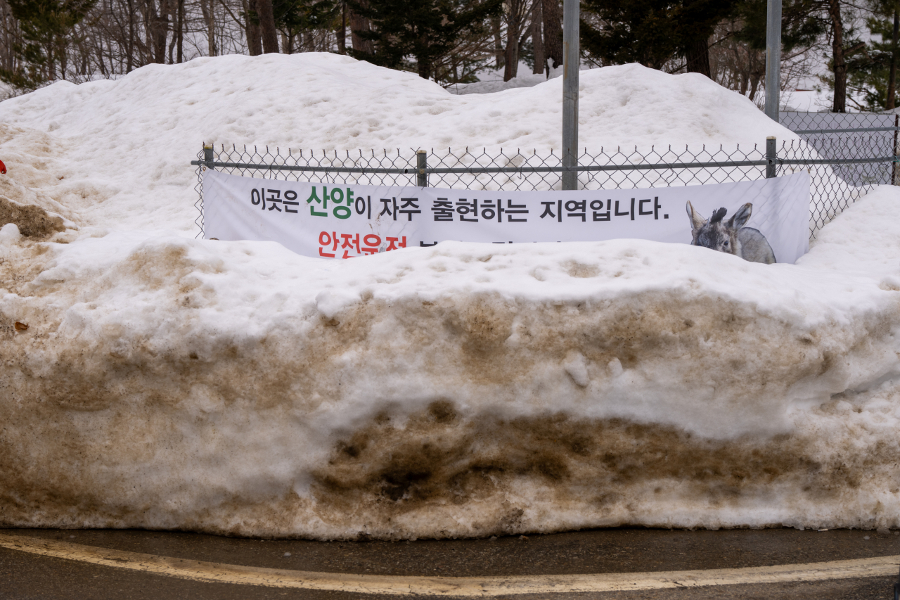 A fence is seen buried in snow, while a placard is hung notifying that mountain goats are frequently seen in the area. (NPCN)