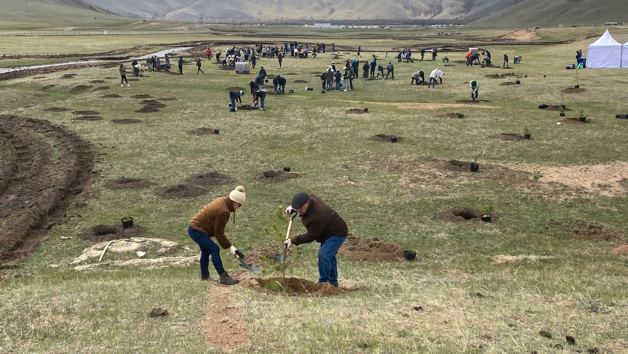 The Korea-Mongolia Greenbelt Plantation Project team participates in the reforestation of Mongolia's vast degraded steppe lands. (Korea Forest Service)