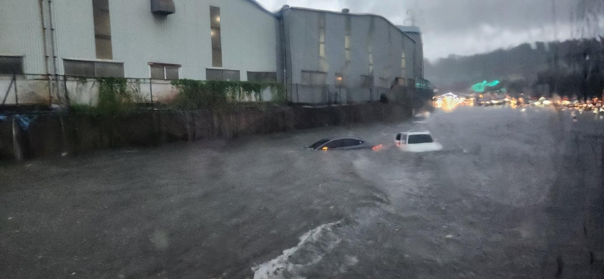 Cars are submerged in a road in Ulsan early Wednesday morning, after up to 142 mm of torrential rain was recorded overnight. (Ulsan Metropolitan Police Agency)