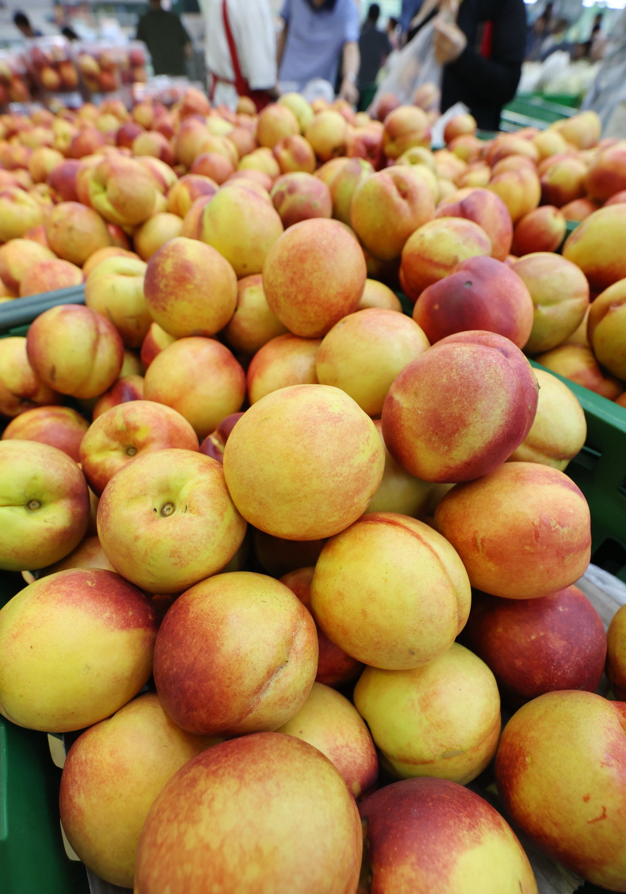 Nectarines are on display at a store in Seoul, Aug. 11. (Yonhap)