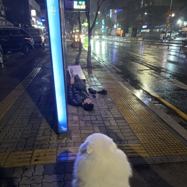 Patrol dog Duri looks at a man passed out at the Cheonho-dong Park bus stop in Gang-dong-gu, eastern Seoul. (Seoul Metropolitan Autonomous Police Commission)