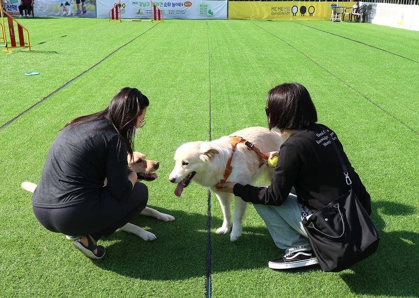 Festivalgoers spend time with their dogs at Gangnam-gu's outdoor playground in 2023. (Gangnam-gu)