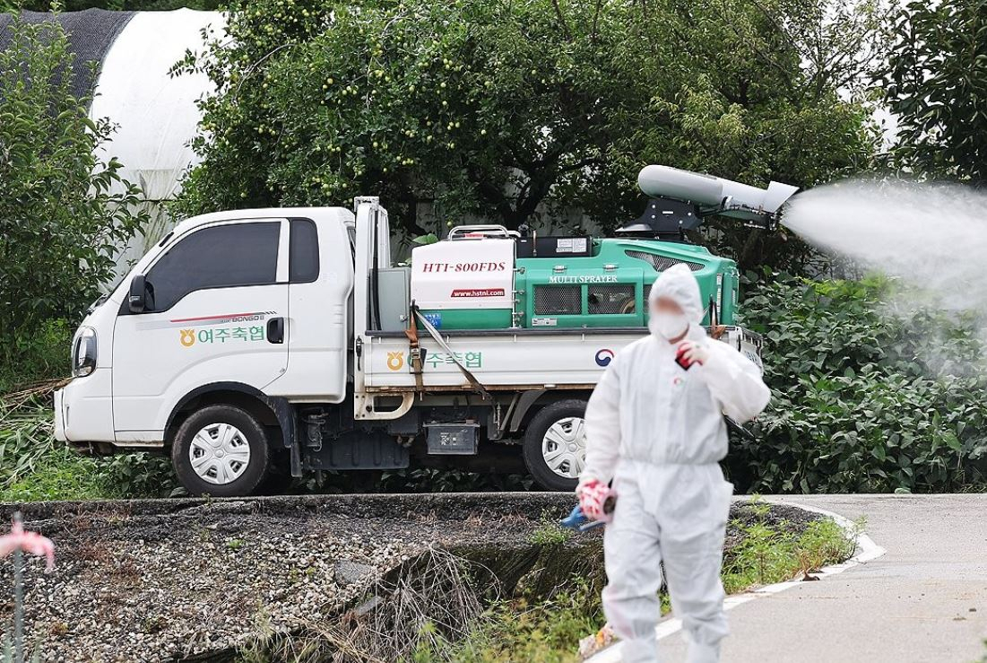 Quarantine efforts are under way to control the spread of lumpy skin disease in Yeoju, 64 kilometers southeast of Seoul, in this file photo taken Sept. 19, 2024. (Yonhap)