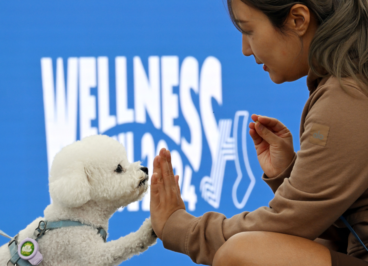 A participant in the Slow Marathon With Pets shares a high-five with her companion dog during Wellness Seoul 2024, on Sunday. (Park Hae-mook/ The Korea Herald)