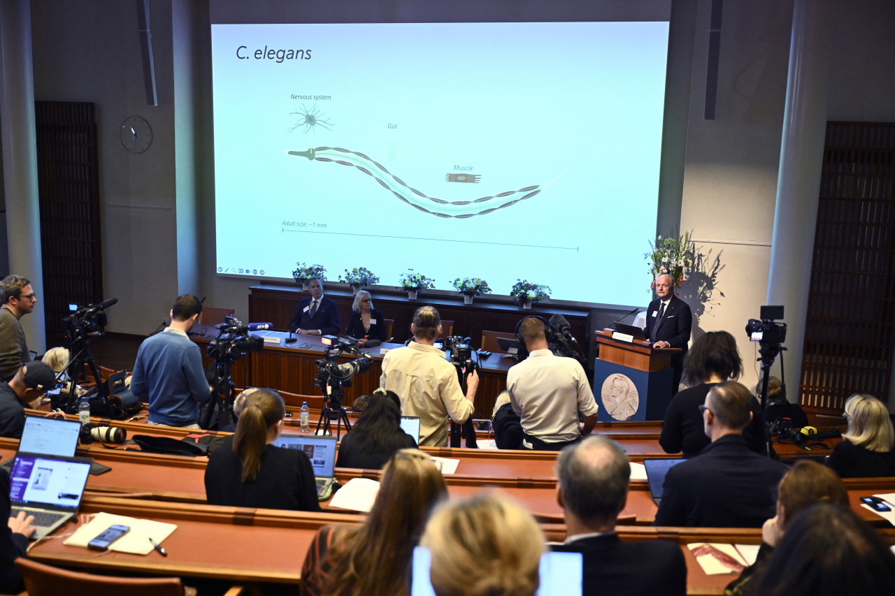 Olle Kämpe (right), professor of clinical endocrinology, explains the work of this year's Nobel Prize in Physiology or Medicine laureates Americans Victor Ambros, and Gary Ruvkun during a press conference at the Karolinska Institute in Stockholm, Sweden, on Monday. (AP)