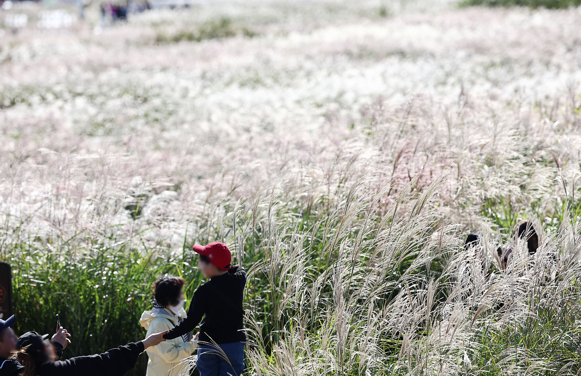 Children pose in the silver grass field at World Cup Park in western Seoul on Sunday during the Seoul Silver Grass Festival. (Yonhap)