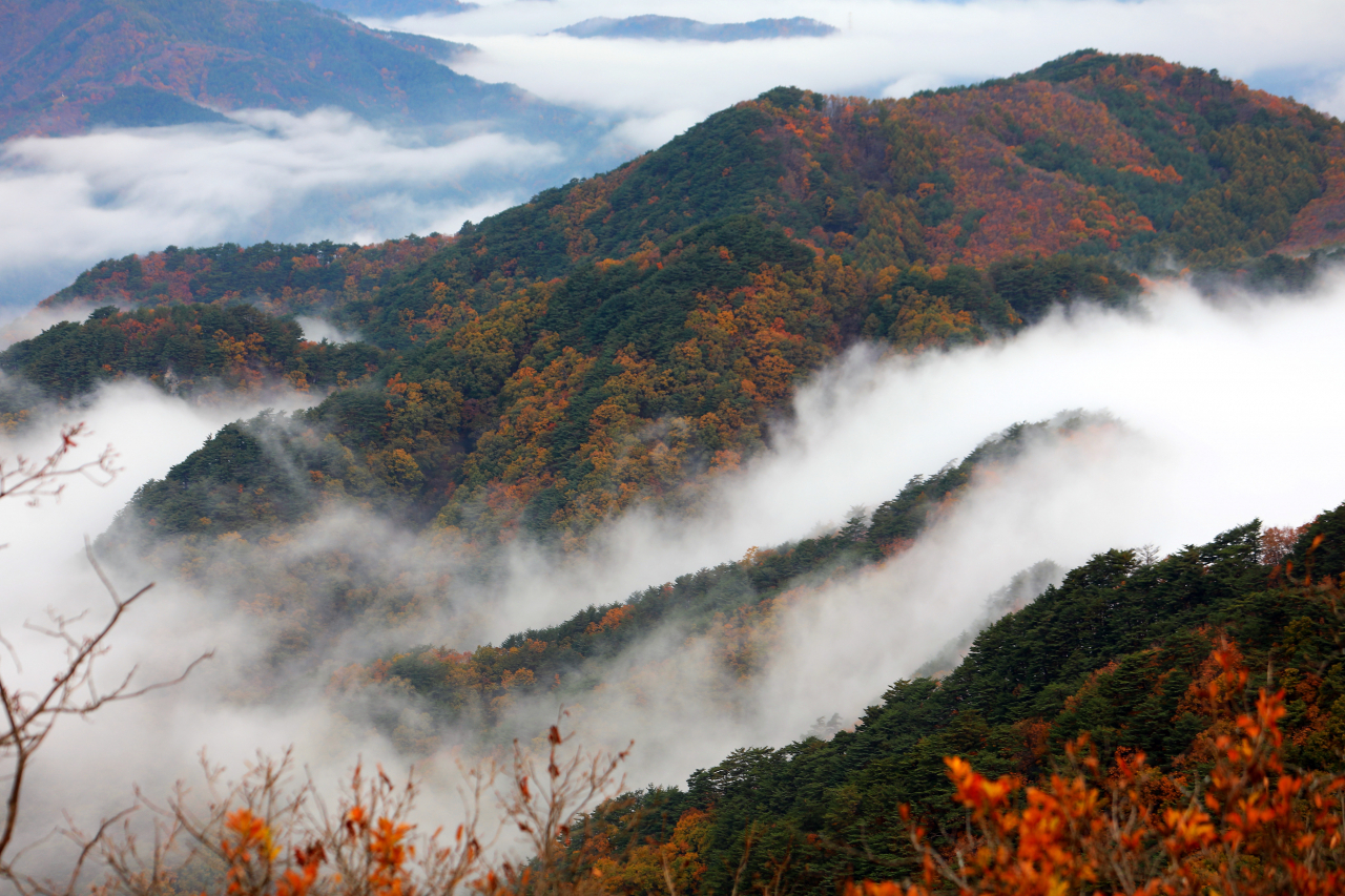 Seoraksan is seen heading to the peak of its autumn foliage on Oct. 27 in Inje, Gangwon Province. (Yonhap)