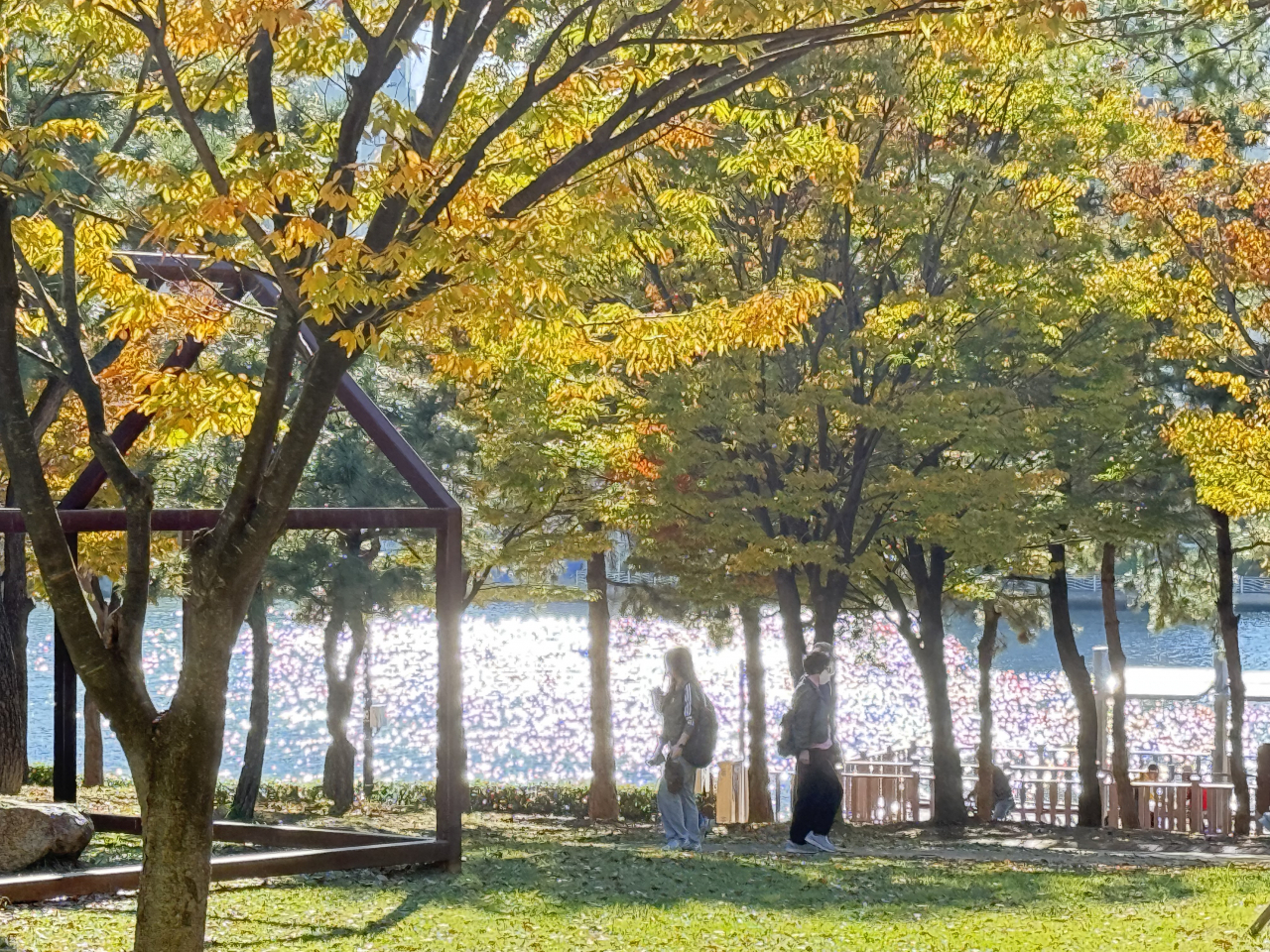 Trees remain green in a park in the southern port city of Busan on Wednesday (Yonhap)