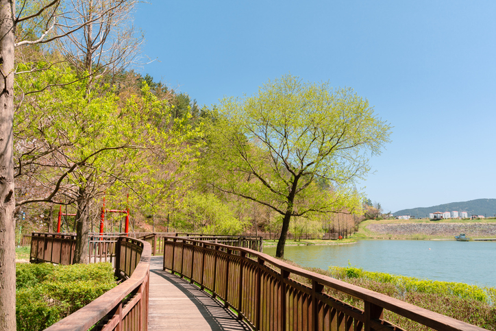 Yongso Well-Being Park in Busan (Getty Images)