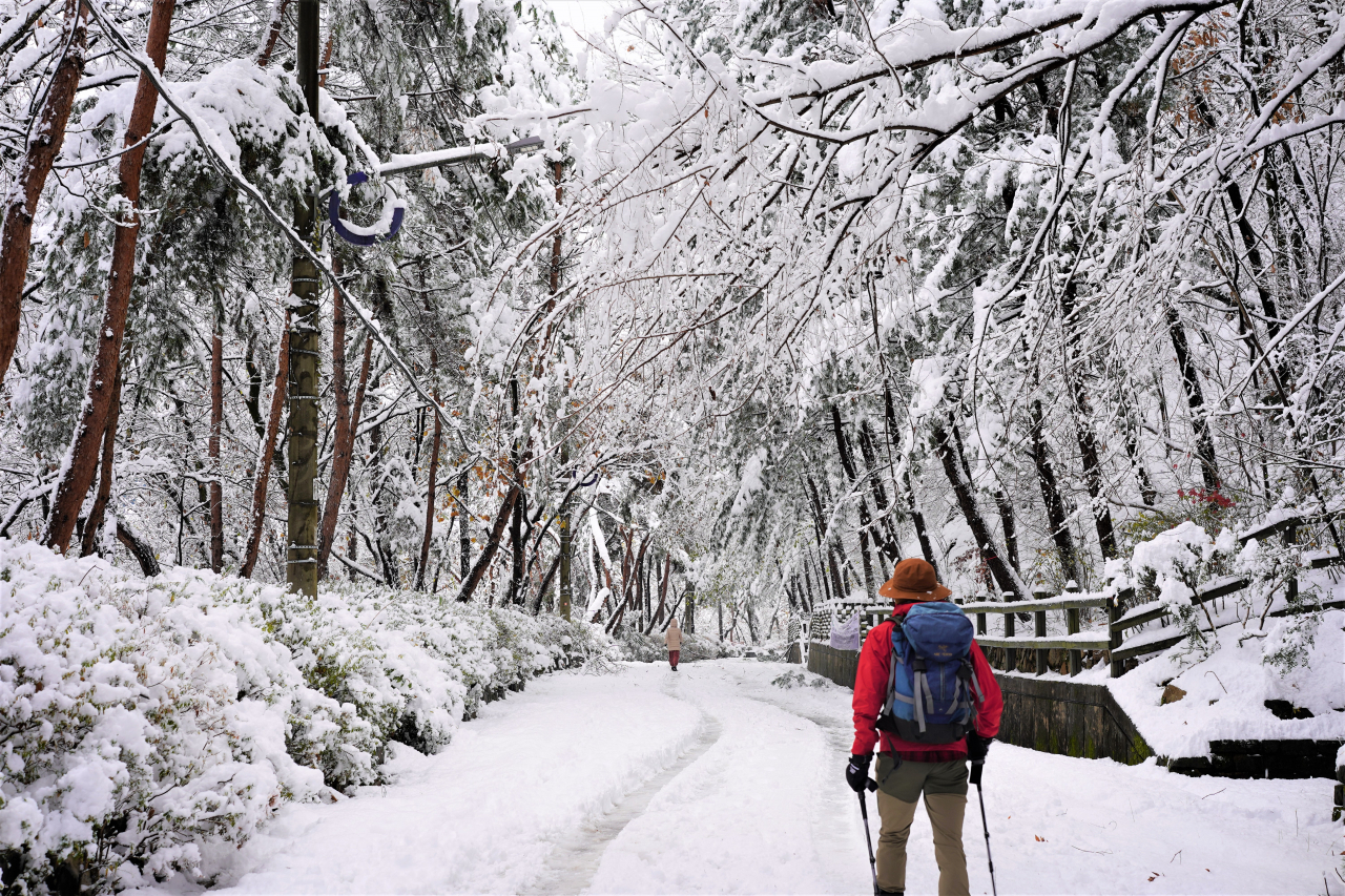 A hiker gazes in awe at the winter scenery of Gwanaksan in Gwanak-gu, southern Seoul on Thursday. (Lee Si-jin/The Korea Herald)