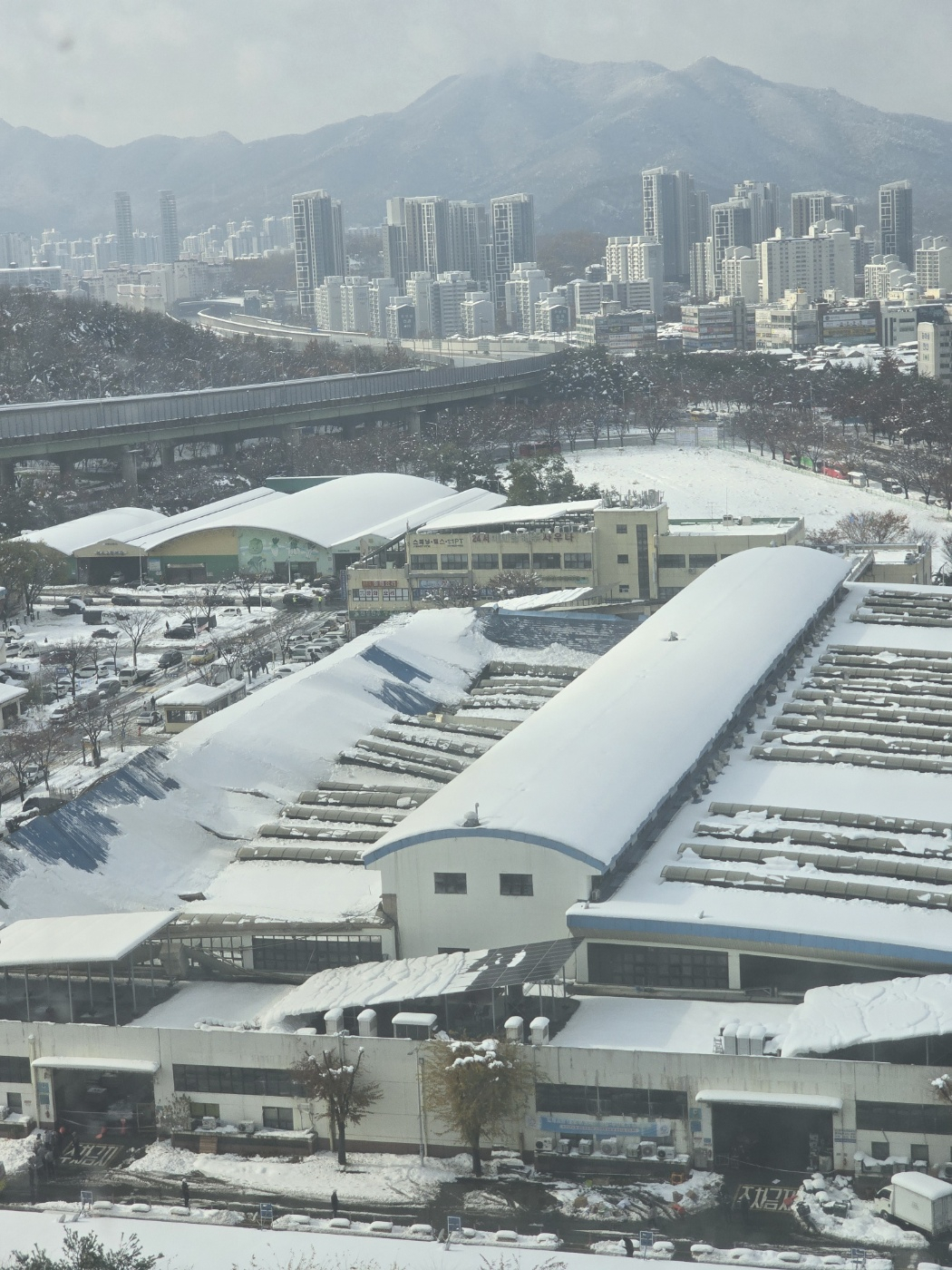 One side of the snow-covered roof of the Pyeongchon Agricultural and Fishery Wholesale Market in Anyang, Gyeonggi Province, is seen collapsed on Thursday afternoon. (Yonhap)