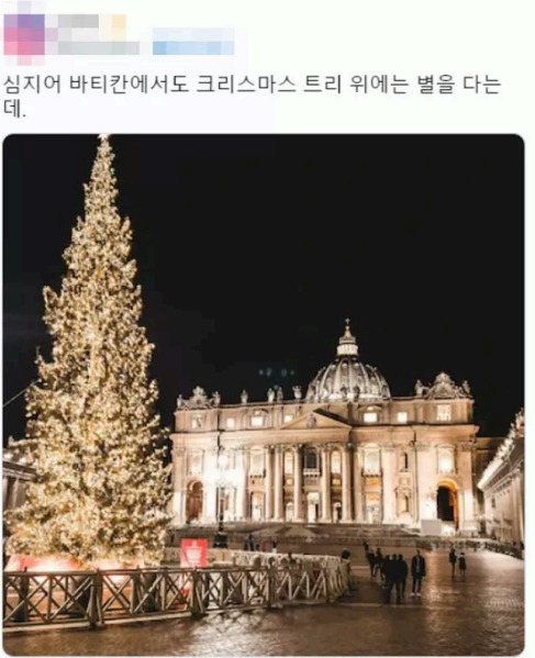 The Vatican's Christmas tree is adorned with a star, as shared by an X user.