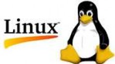 25년 전 취미로 탄생해 세계를 제패한 리눅스 이야기
