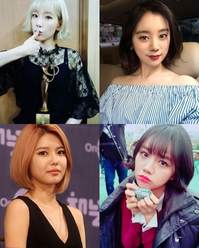 Stars Same Short Hair Different Vibes Poll