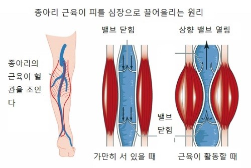 이미지중앙